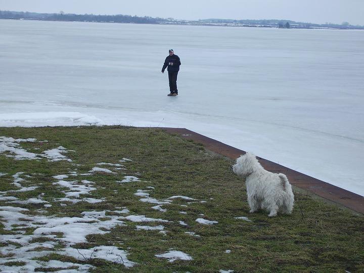 PICT0018.JPG
