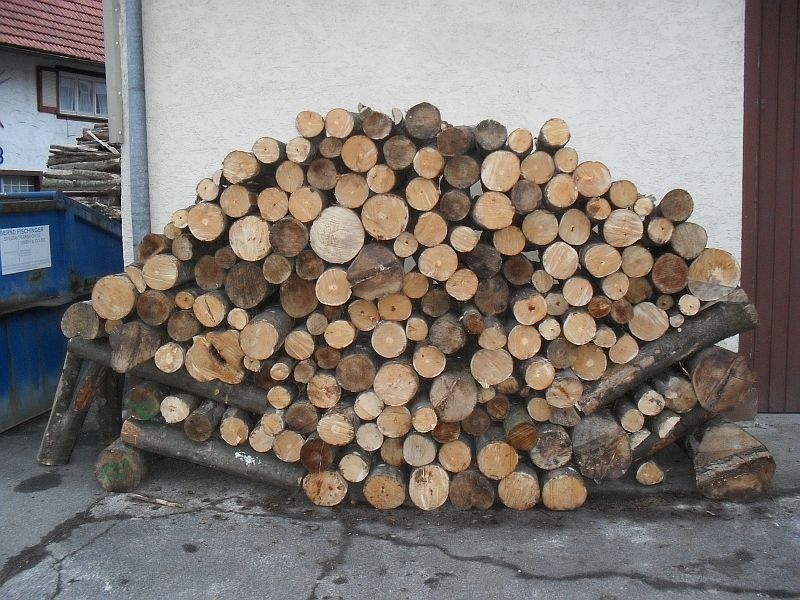 holz1.jpg