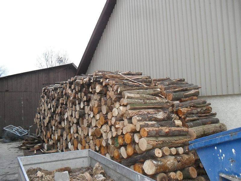 holz2.jpg