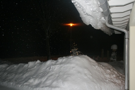 Winter 12.2012 005.JPG