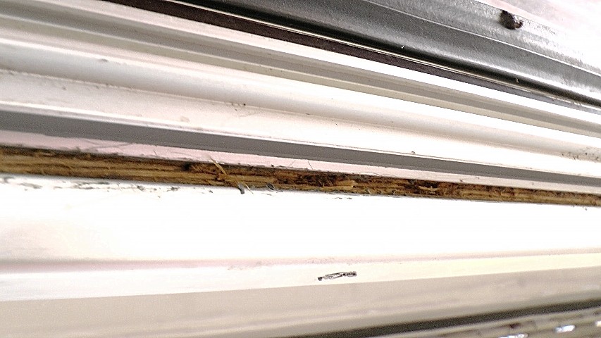 2014-03-27-05.JPG