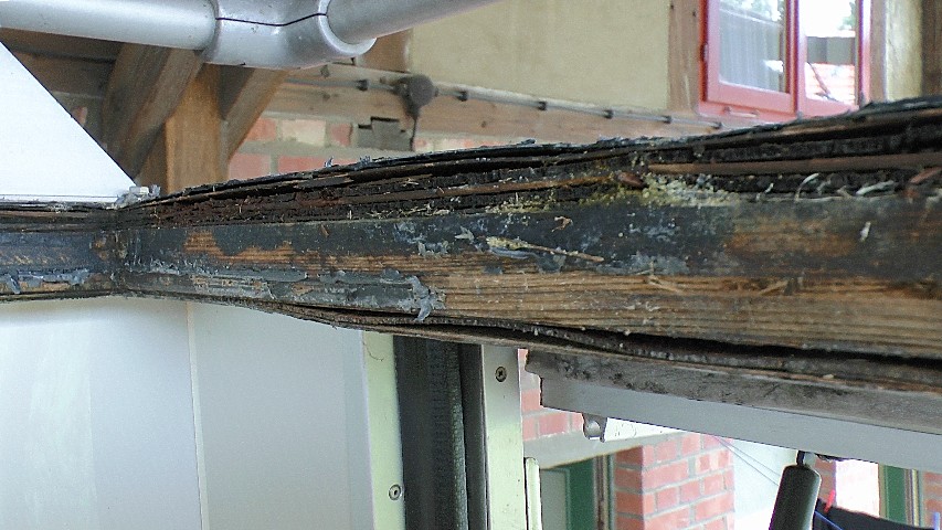 2014-03-28-07.JPG
