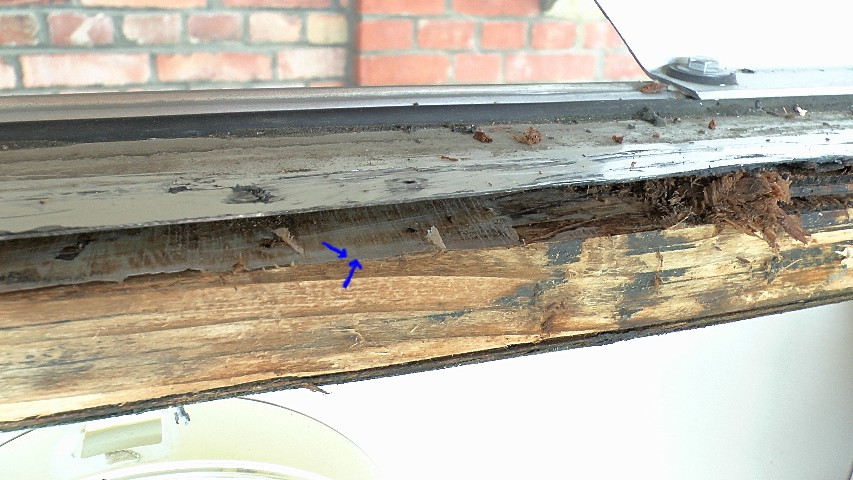 2014-03-28-12.JPG